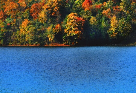 粉象生活到底靠谱吗