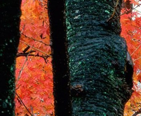 注册粉象生活有风险吗