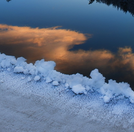 粉象生活怎么找优惠券