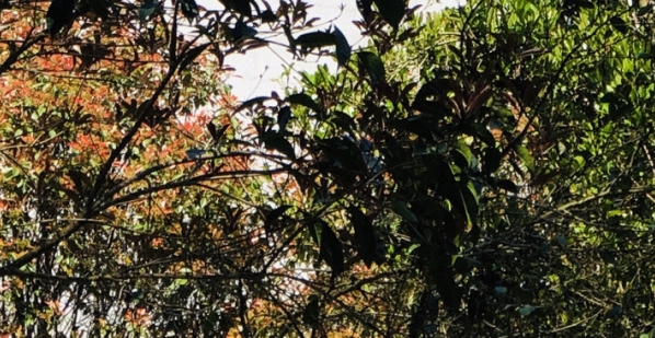 粉象生活平台上的货源