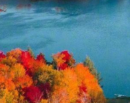 粉象生活怎么赚钱