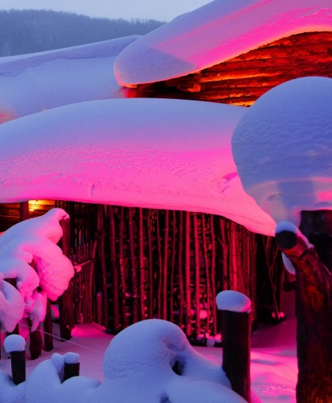 粉象生活下载app