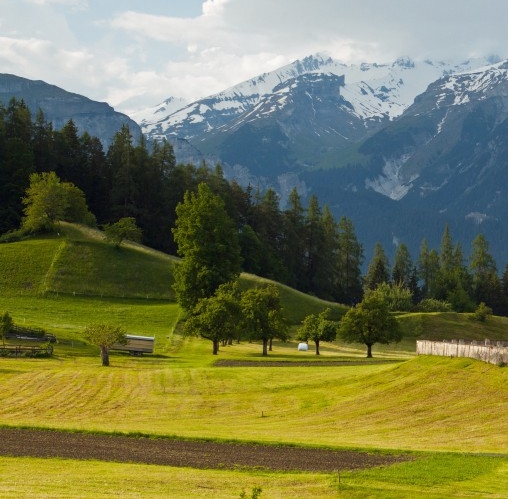 粉象生活可以赚钱吗