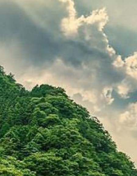粉象生活app