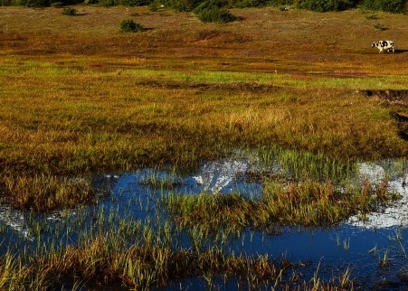粉象生活投入资金赚钱