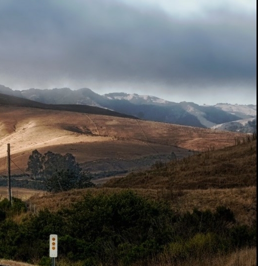 粉象生活淘宝优惠券