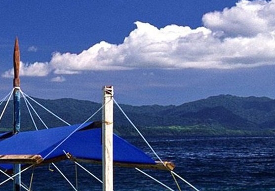 粉象生活是什么?