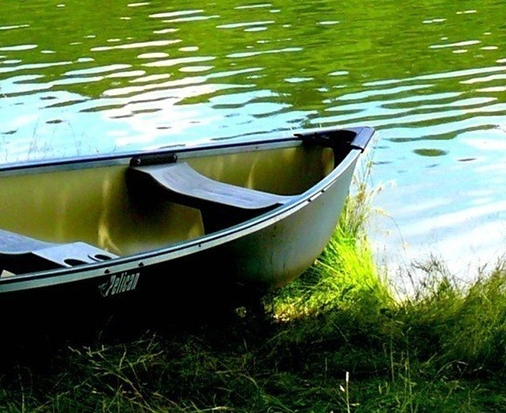 粉象生活的邀请码是什么意思