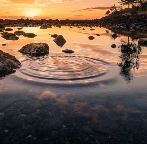 粉象生活分享赚钱方式