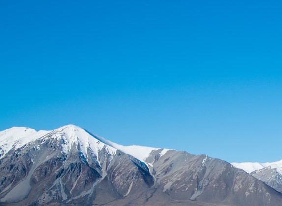 粉象生活下载app