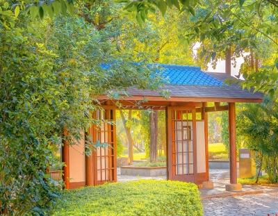 专业评粉象生活