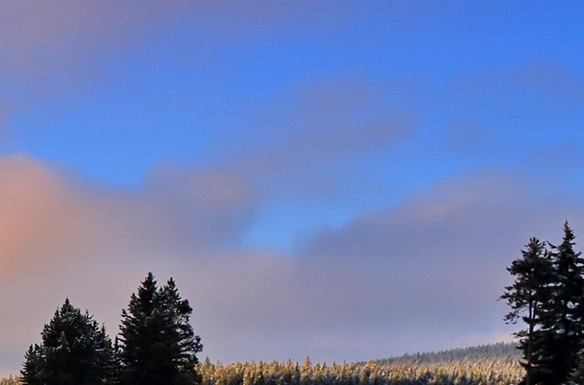 粉象生活怎么加入代理商