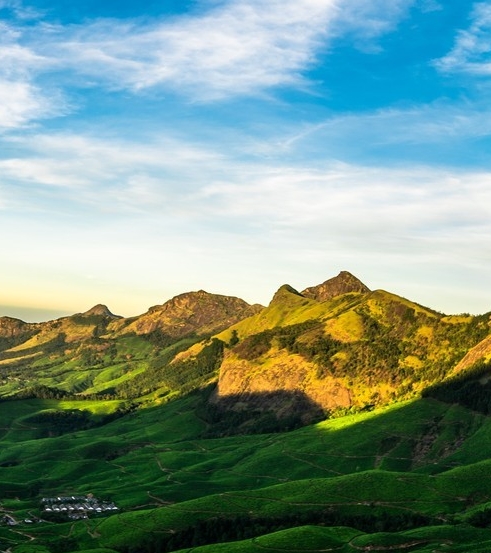 粉象生活的账号