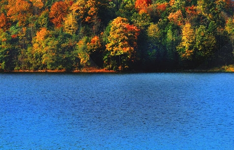 粉象生活下载app