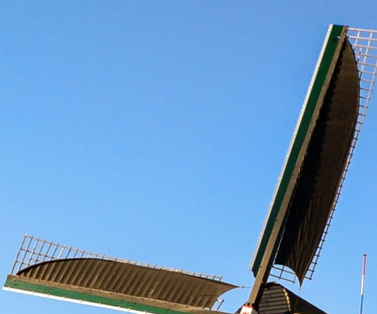 粉象生活怎么选