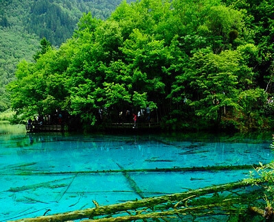 粉象生活招聘面试