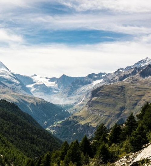 黑河粉象生活加盟