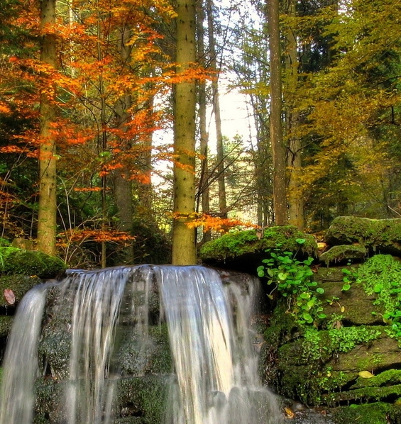 粉象生活可以赚钱吗