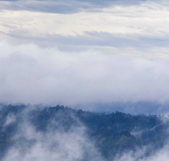 深圳粉象生活官方