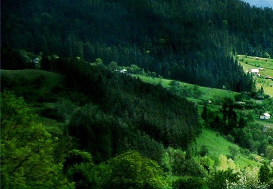 粉象生活邀请人