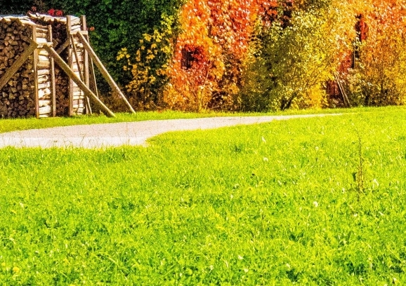 粉象生活的话术