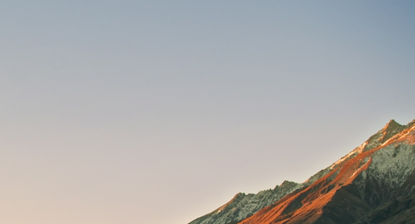 山东正规粉象生活好不好