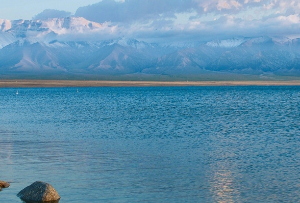 粉象生活登录网址