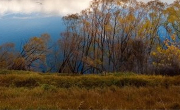粉象生活骗局大揭秘