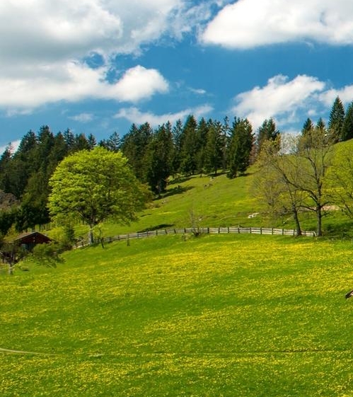 邢台粉象生活注册