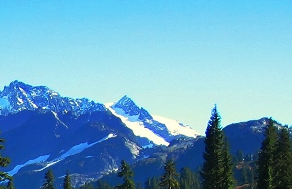 焦作粉象生活vip