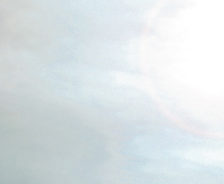 粉象生活在家赚钱吗