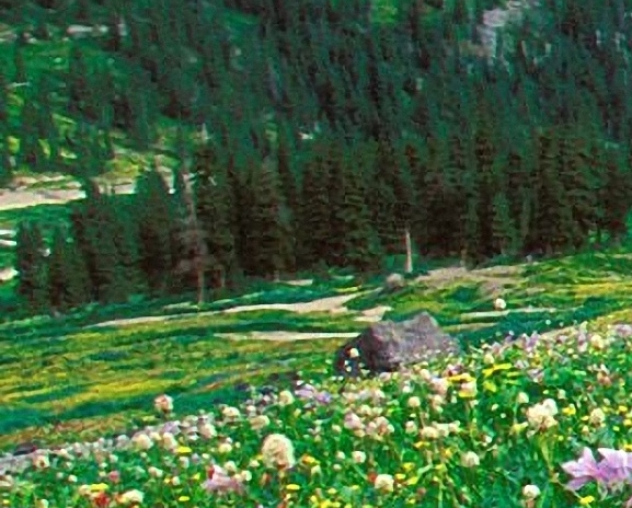 粉象生活怎么分享货