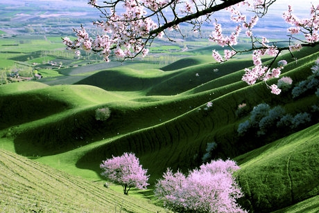 粉象生活平台注册要多久