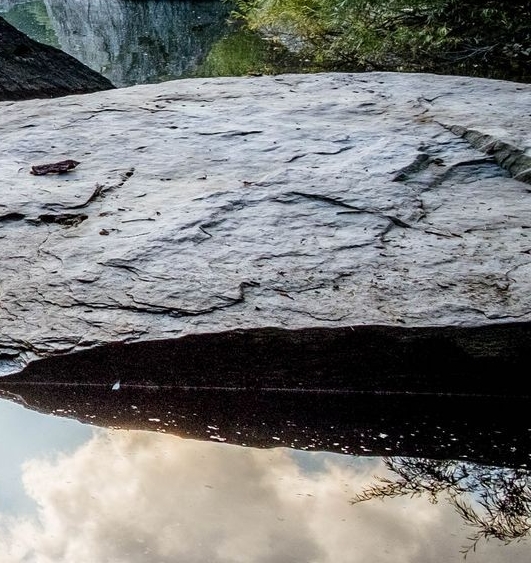 下载任务粉象生活