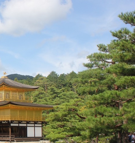 粉象是什么平台