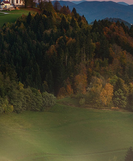 粉象生活粉丝怎么增加