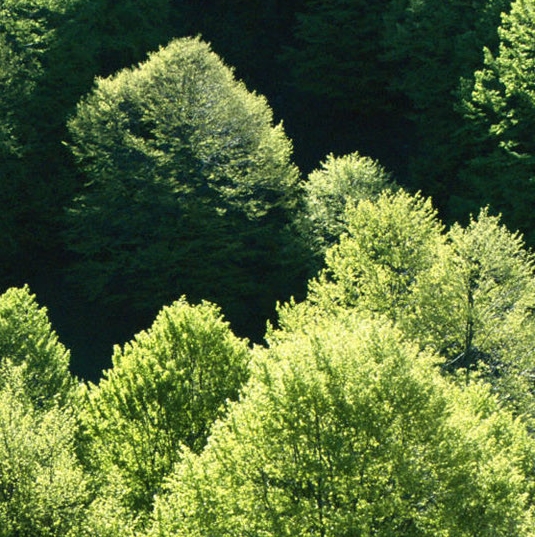 粉象生活怎么填邀请