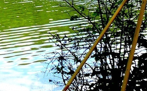 粉象生活多少粉丝