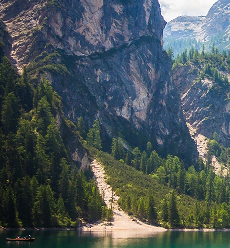 白城粉象生活注册