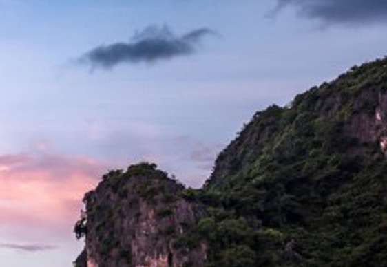 阿里粉象生活官方