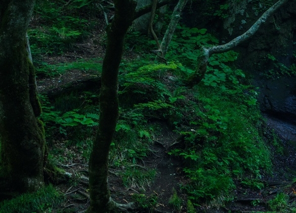 通化粉象生活代理