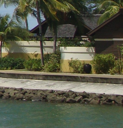 粉象生活购买vip