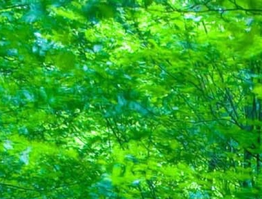 粉象生活优惠券领取怎么领