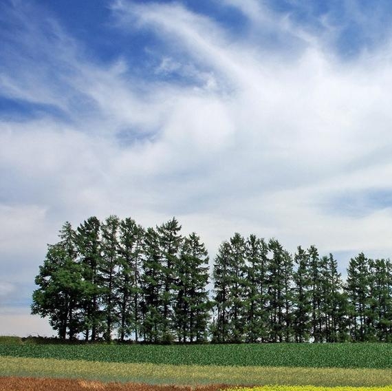 粉象生活怎样推广