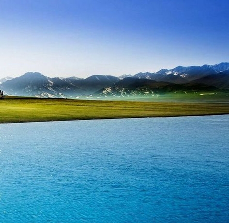 粉象生活推广技巧