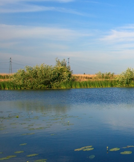 粉象生活初始注册