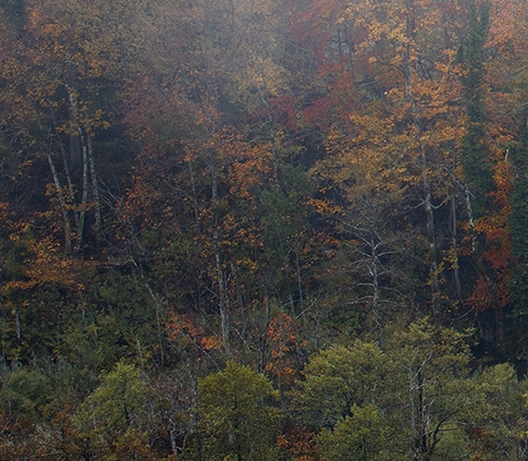 粉象生活怎么去推广