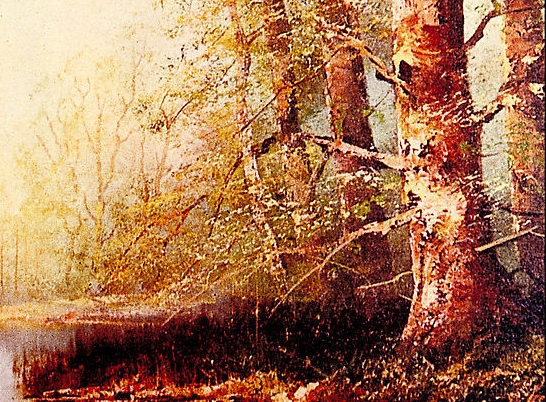 粉象生活怎么关闭拼多多授权