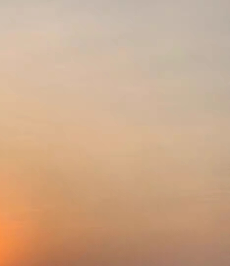 注册粉象生活有风险吗