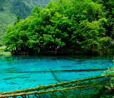 直播间怎么开通粉象生活